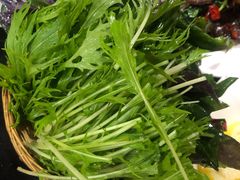 -藏味八珍特色火锅