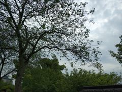 -苏州国际教育园