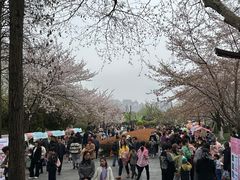 -堤角公园