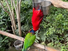 -南宫五洲植物乐园