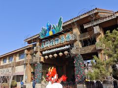 -南宫五洲植物乐园