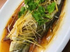 -渡海小渔村.老辈日照菜
