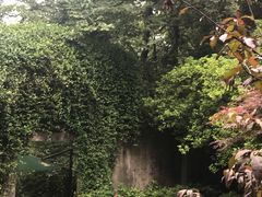 -十八棵（老龙井）御茶园(老龙井店)