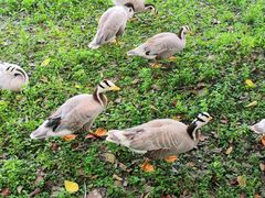 -艾溪湖湿地公园