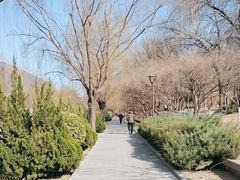 -元大都城垣遗址公园