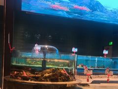 -海立阁海鲜江浙菜(漕河泾印象城店)