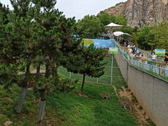 -西霞口神雕山野生动物世界