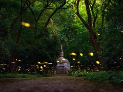 -灵谷景区