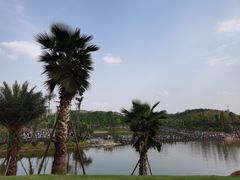 -枫香湖儿童公园