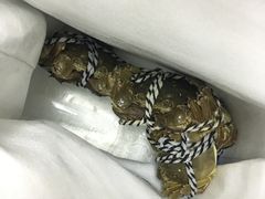 -喜洋洋蟹庄(阳澄湖店)