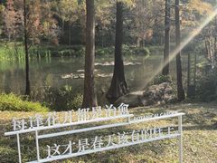 -云溪植物园