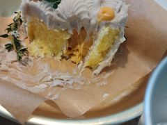 -野草莓自由市场