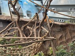 -香港海洋公园