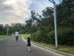 -如皋市龙游湖欢乐世界