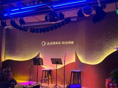 -Ambra Haus琥珀屋精酿餐厅(宝山店)