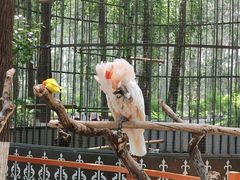 -北京野生动物园