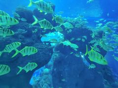 -成都浩海立方海洋公园