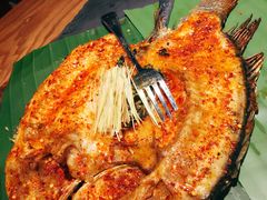 -云海肴·汽锅鸡·云南菜(天山百盛优客店)