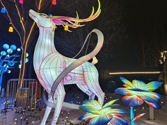 -逍遥镇刘相五胡辣汤豆沫馆(康复中街店)