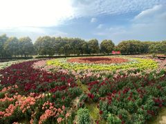 -广东花都香草世界旅游度假区