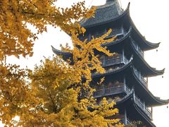-常熟方塔园