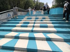 -日照海滨国家森林公园