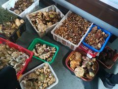 -七采菌园·石锅鱼野生菌火锅(环城北路店)