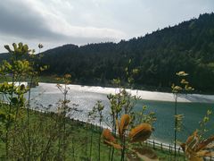 -武陵山森林公园