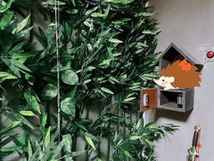 -不倒翁实景剧情密室逃脱(光明凤凰城站店)