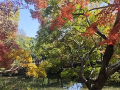 -秋霞圃
