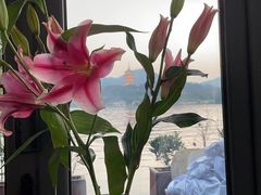 -柳莺湖上·湖景餐厅·江南菜(西湖店)