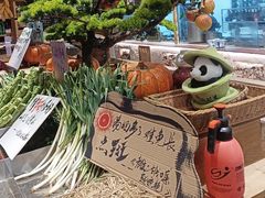 -田园印象·成都土菜院子(华阳店)
