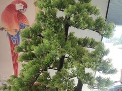 -顺峰(农展馆店)