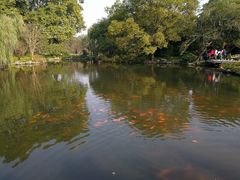 -西湖外事游船(花港观鱼码头)