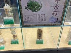 -广东中医药博物馆