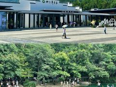 -石台牯牛降景区
