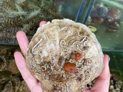-四海鲜渔家菜(黄金海岸店)