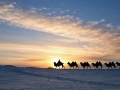 -塞罕坝国家级自然保护区