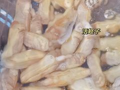 -西兰渔场·三文鱼·海鲜·捞饭(建业·森林半岛店)