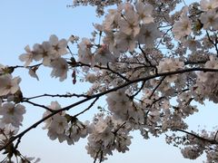-江南大学(蠡湖校区)