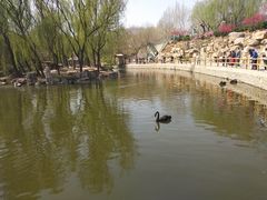 -石家庄市动物园