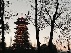 -洋湖国家湿地公园