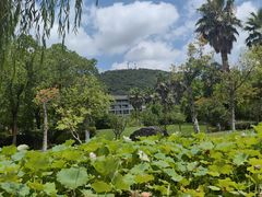 -宁波九龙湖开元度假村