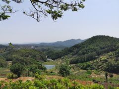 -乌石村