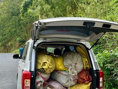 -东天目山风景区