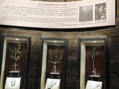 -辽宁古生物博物馆