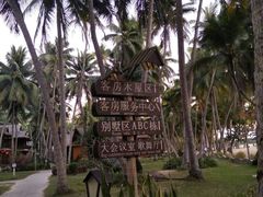 -东郊椰林