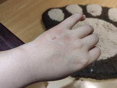-滚猫咖啡·猫咖·猫友好撸猫(未来城店)