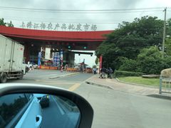 -江杨农产品批发市场