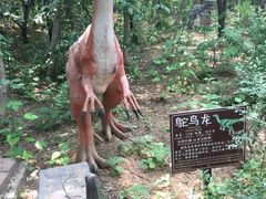 -济南野生动物世界